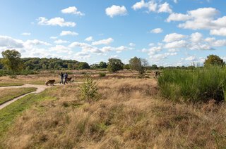 Lijsterbeslaan 13 HILVERSUM