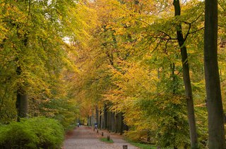 Hazenstraat 71 HILVERSUM