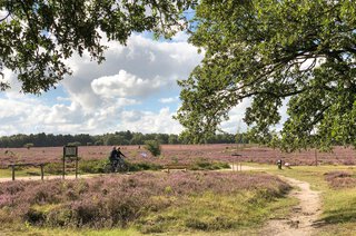 Kamerlingh Onnesweg 201 HILVERSUM