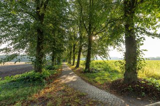 Lijsterbeslaan 29 LOOSDRECHT